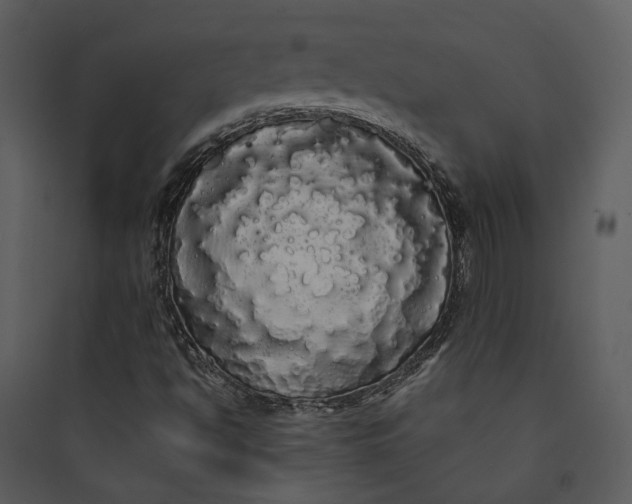 X0000089761494200707121351