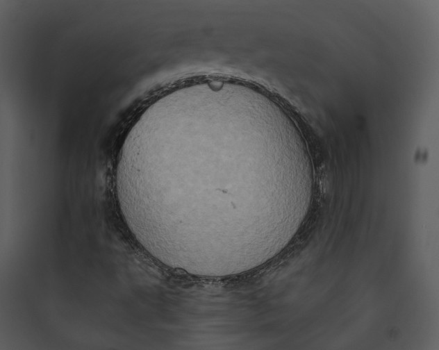 X0000089761495200707121351