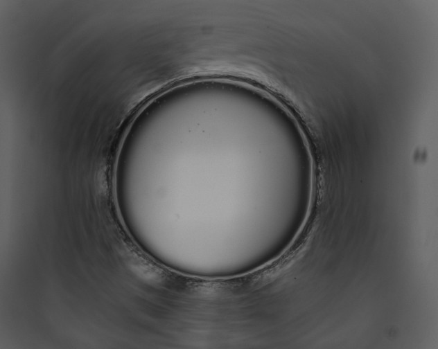 X0000089761497200707121351