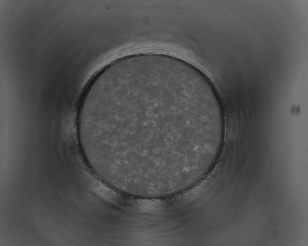 X0000089761498200707121351