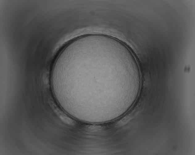 X0000089761499200707121351