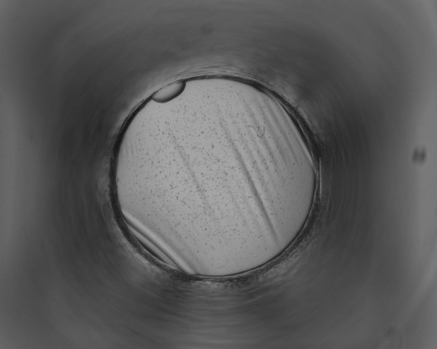 X0000089761500200707121351