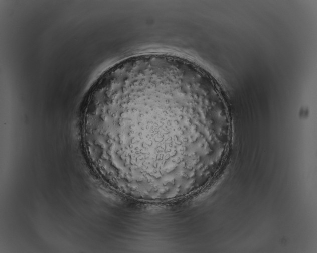 X0000089761501200707121351