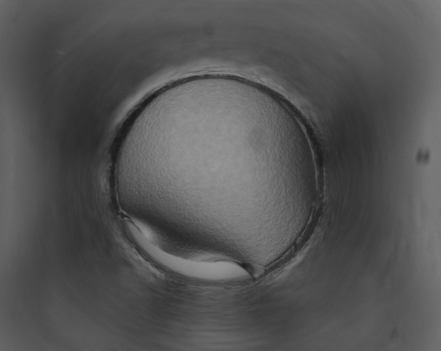 X0000089761502200707121351