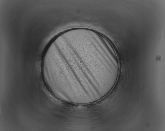 X0000089761503200707121351