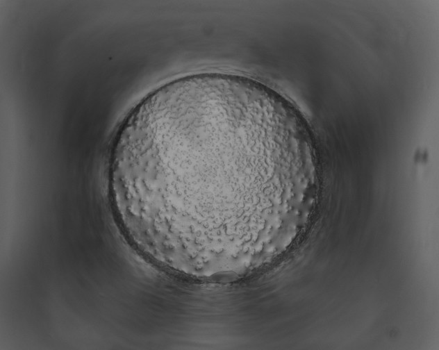 X0000089761504200707121351