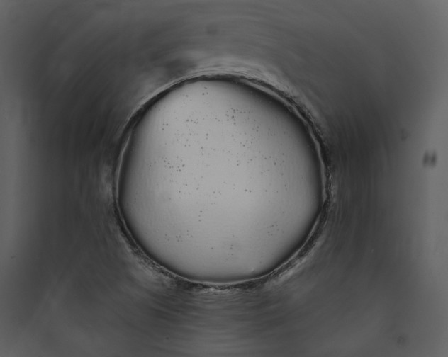 X0000089761505200707121351