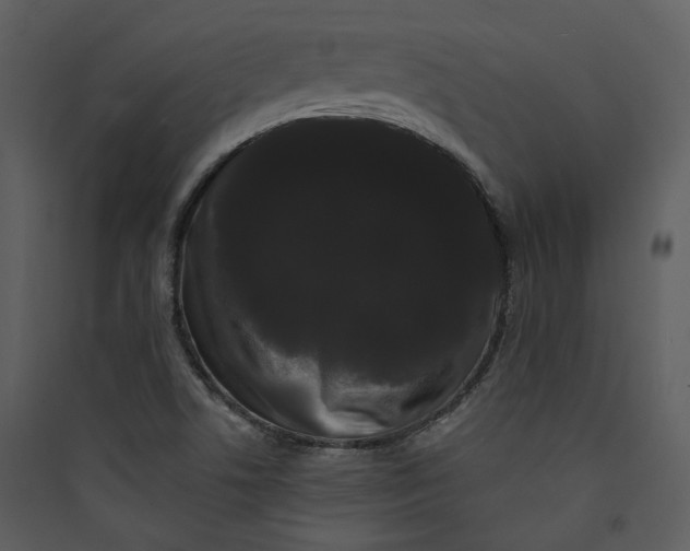 X0000089761506200707121351