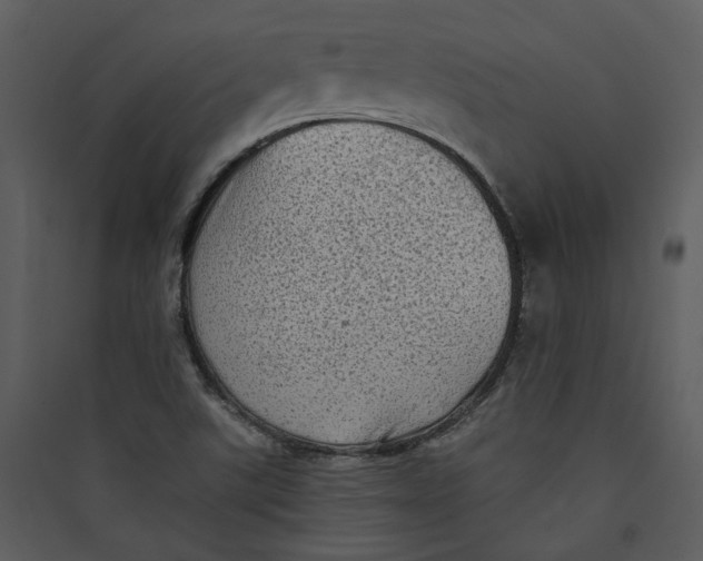 X0000089761507200707121351