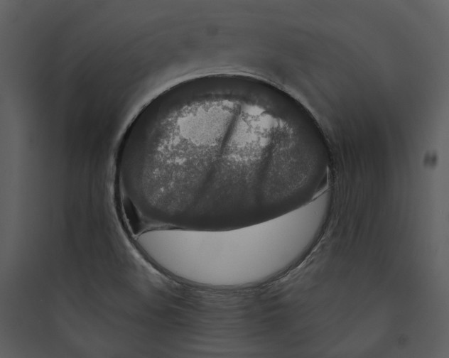 X0000089761508200707121352