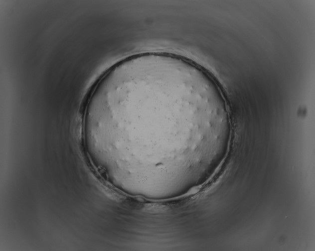 X0000089761509200707121352