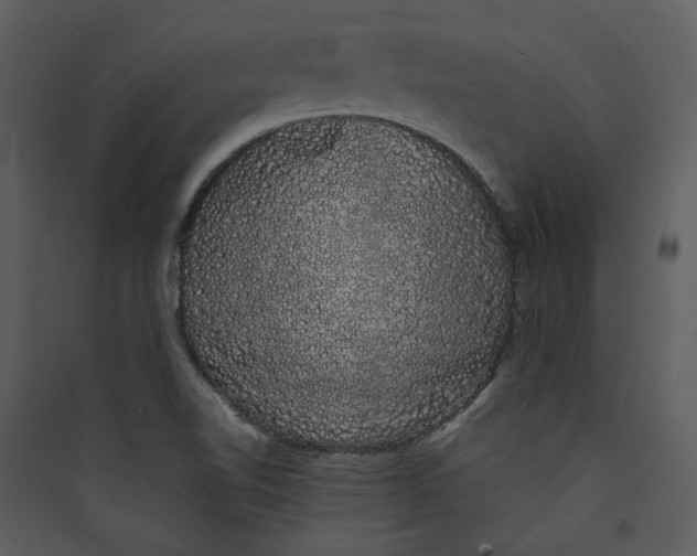 X0000089761510200707121352