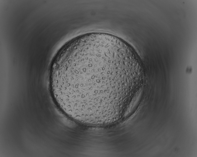 X0000089761511200707121352