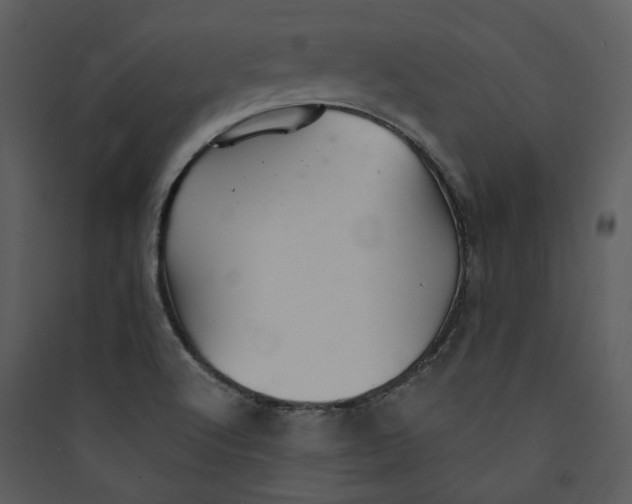 X0000089761512200707121352