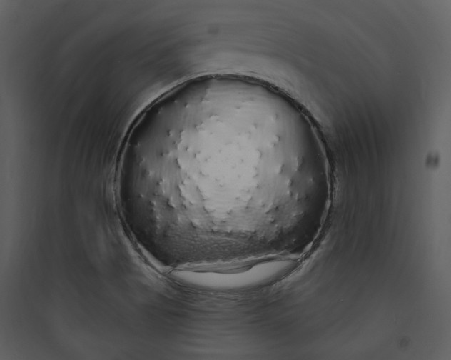 X0000089761513200707121352