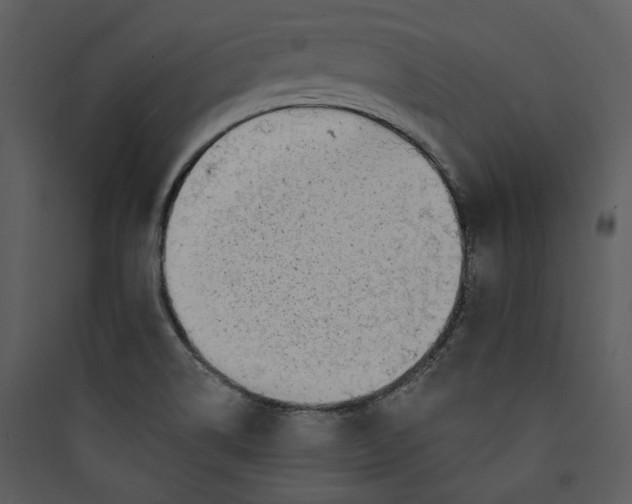 X0000089761514200707121352