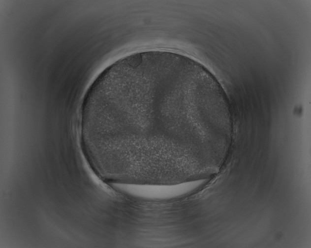 X0000089761515200707121352