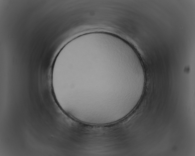 X0000089761516200707121352