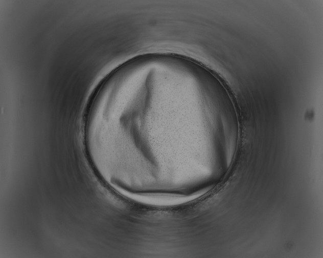 X0000089761517200707121352