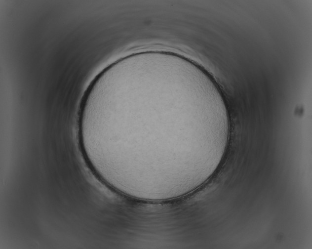 X0000089761518200707121352