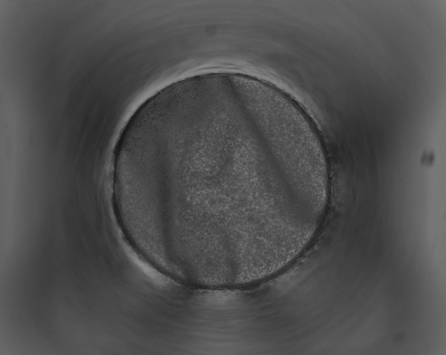 X0000089761519200707121352