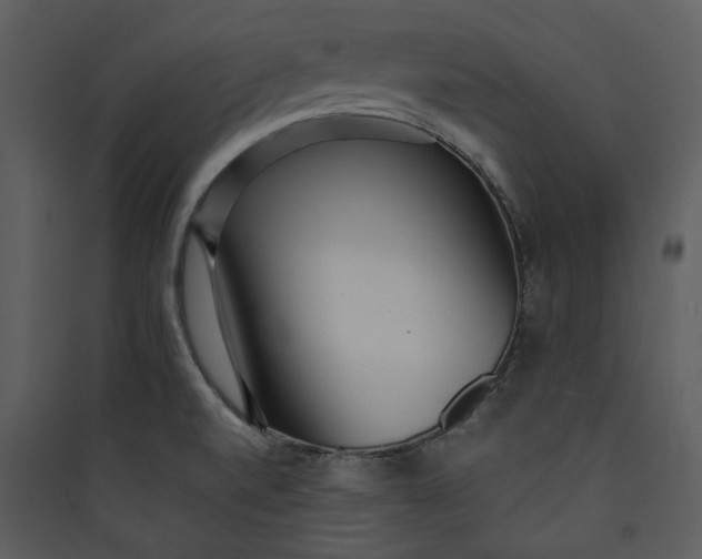 X0000089761520200707121352