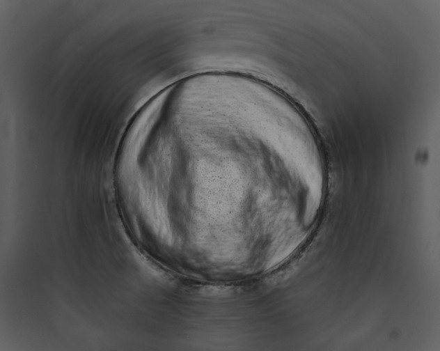 X0000089761521200707121352