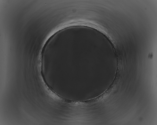 X0000089761522200707121352