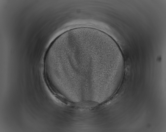 X0000089761523200707121352