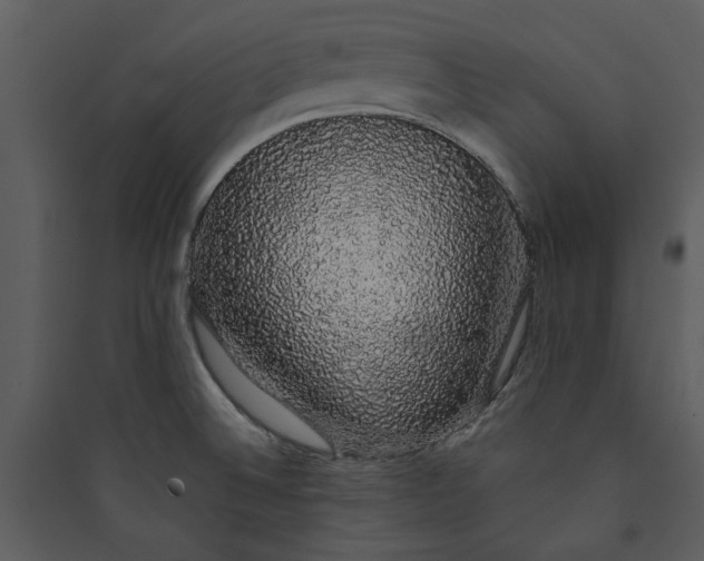 X0000089761524200707121352