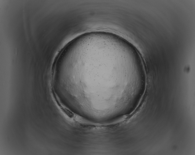 X0000089761525200707121352