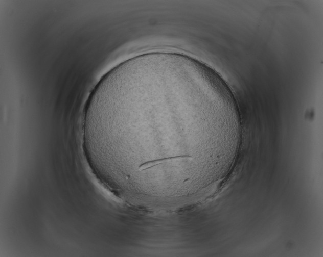 X0000089761526200707121352