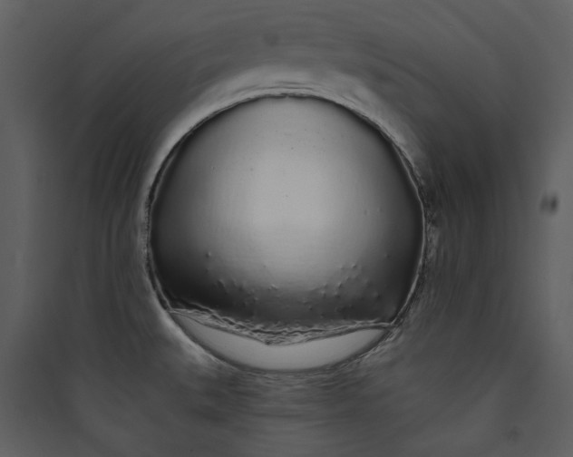 X0000089761527200707121352