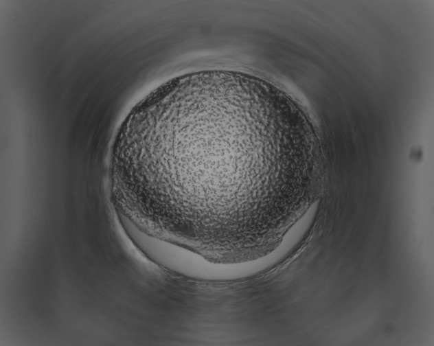 X0000089761528200707121352