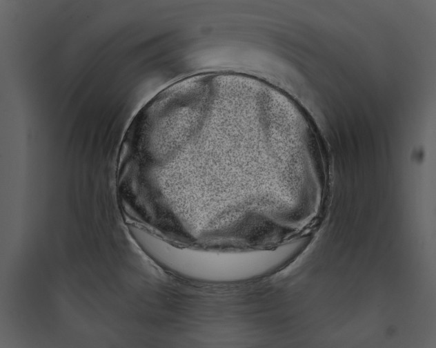 X0000089761529200707121352