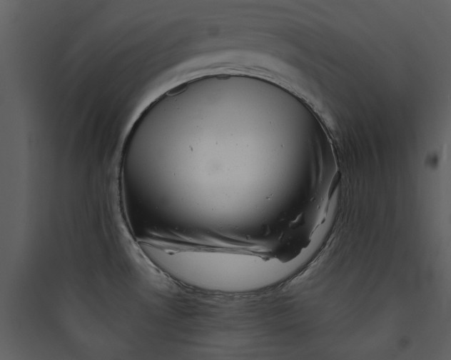 X0000089761530200707121352