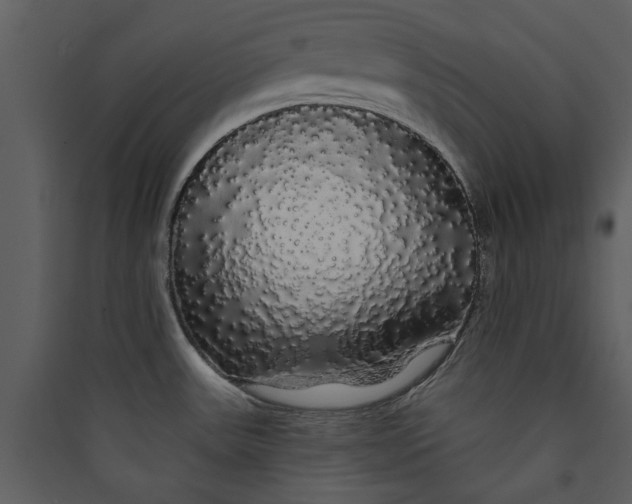 X0000089761531200707121352