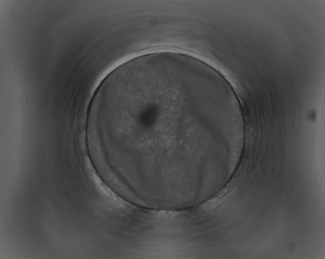 X0000089761534200707121352