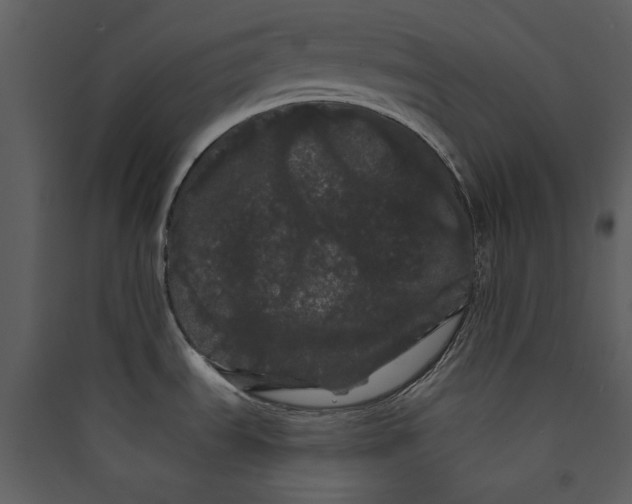 X0000089761535200707121352