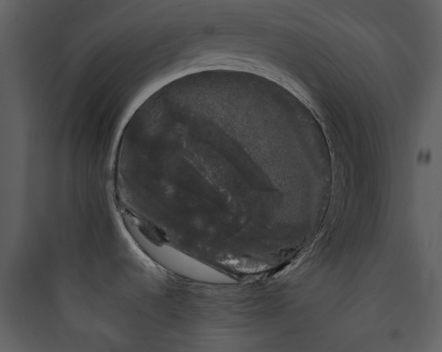 X0000089761536200707121352