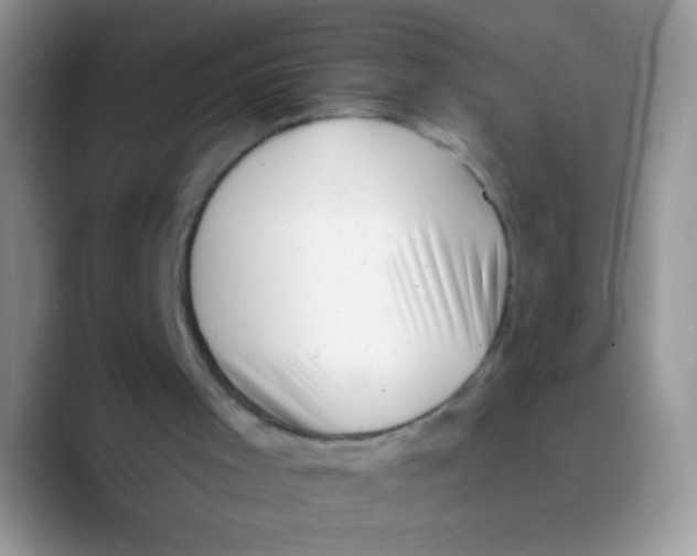 X0000089760001200707201952