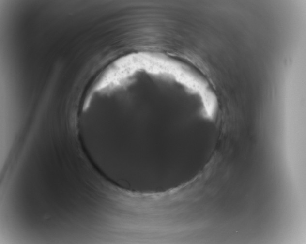 X0000089760002200707201952