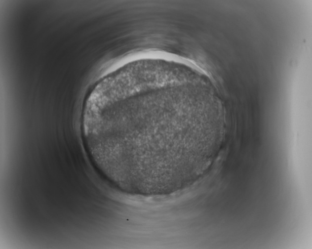 X0000089760003200707201952