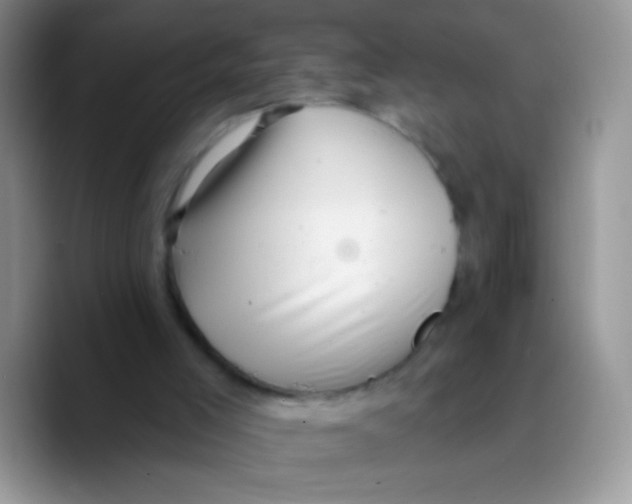 X0000089760005200707201952