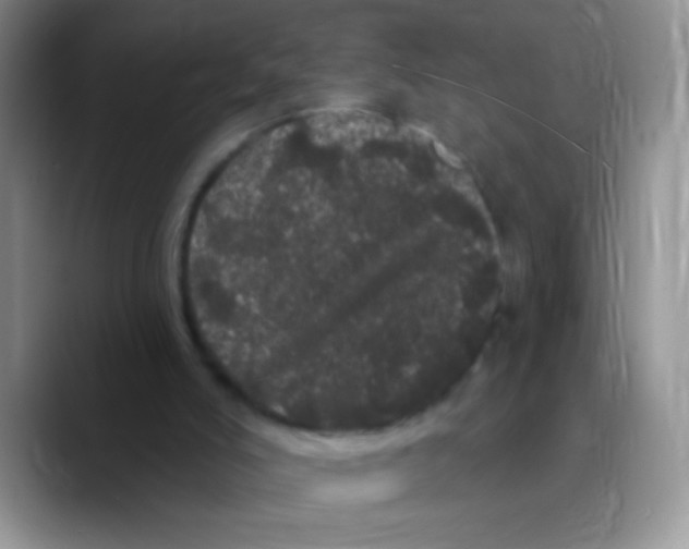 X0000089760006200707201952