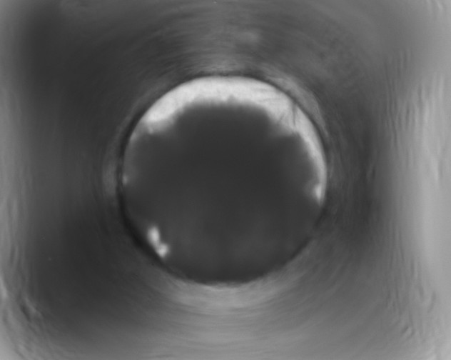 X0000089760010200707201951