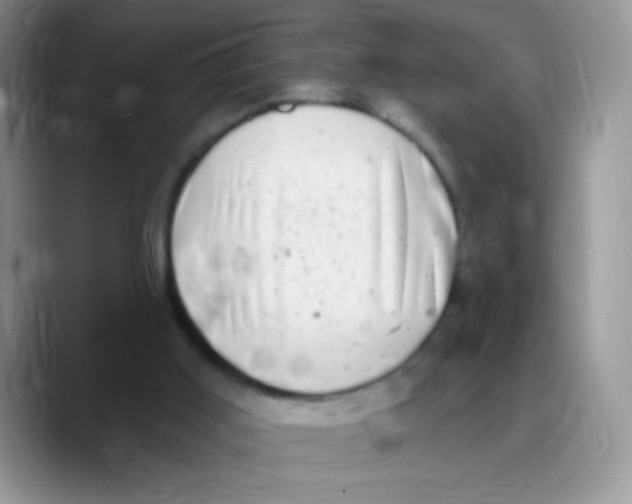 X0000089760011200707201951