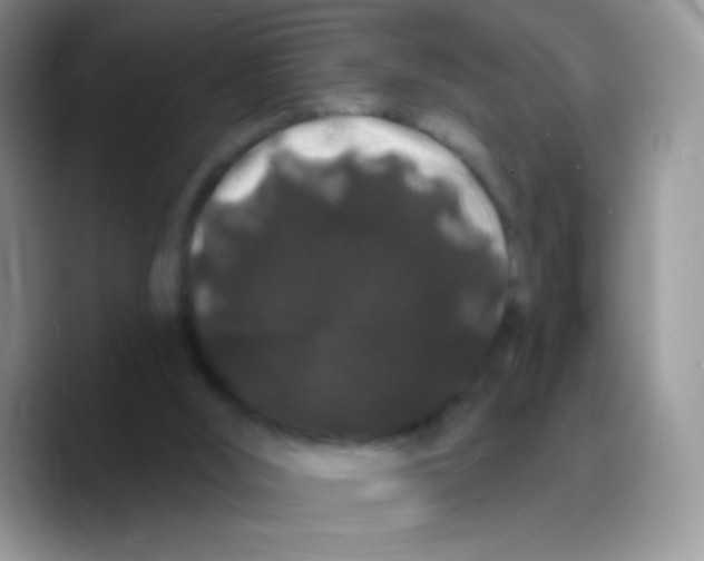 X0000089760012200707201951