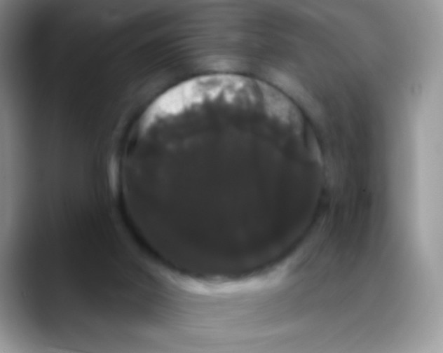 X0000089760014200707201951