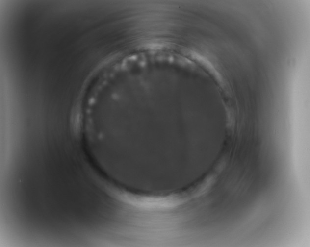 X0000089760016200707201951